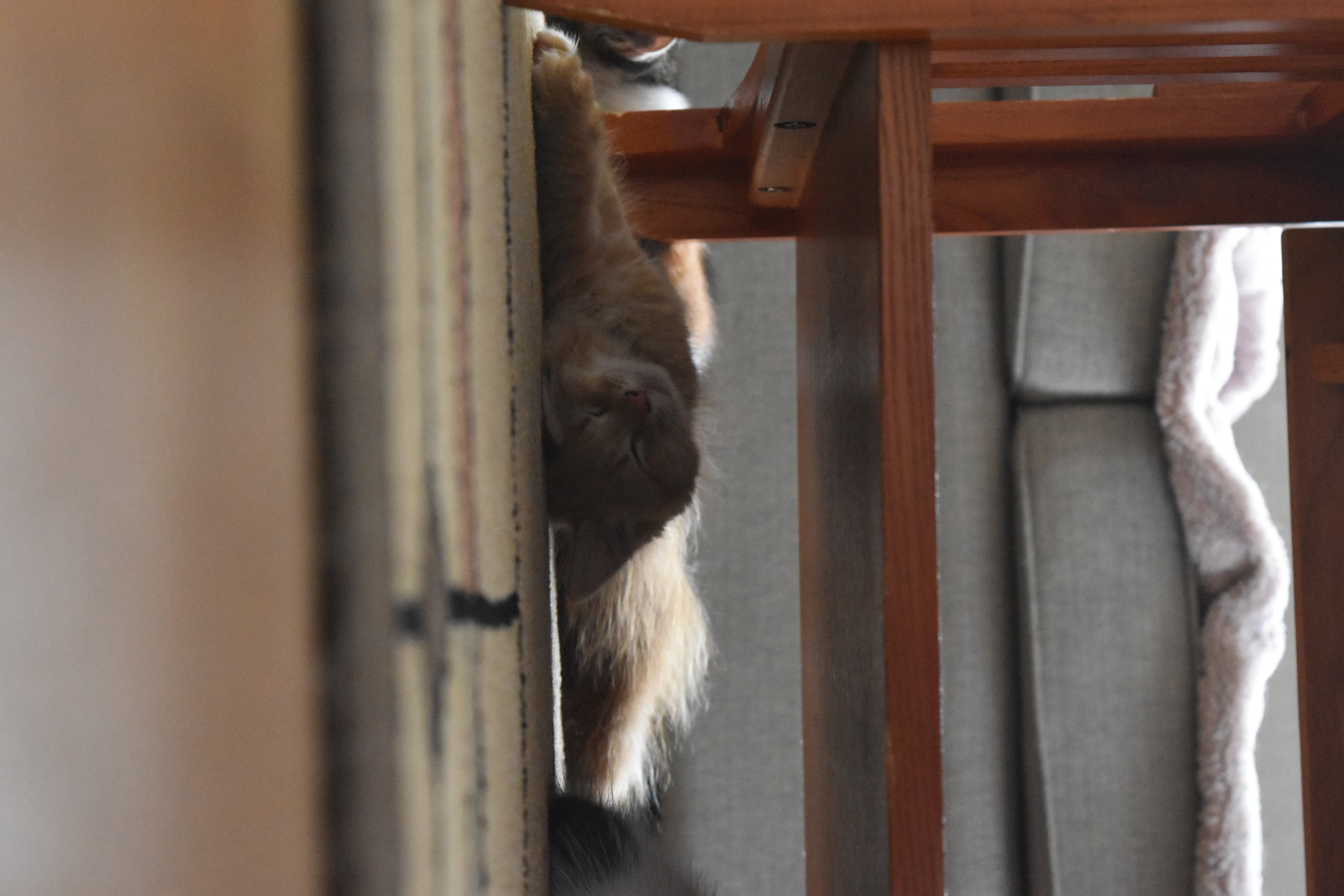 A preview of my latest digital painting