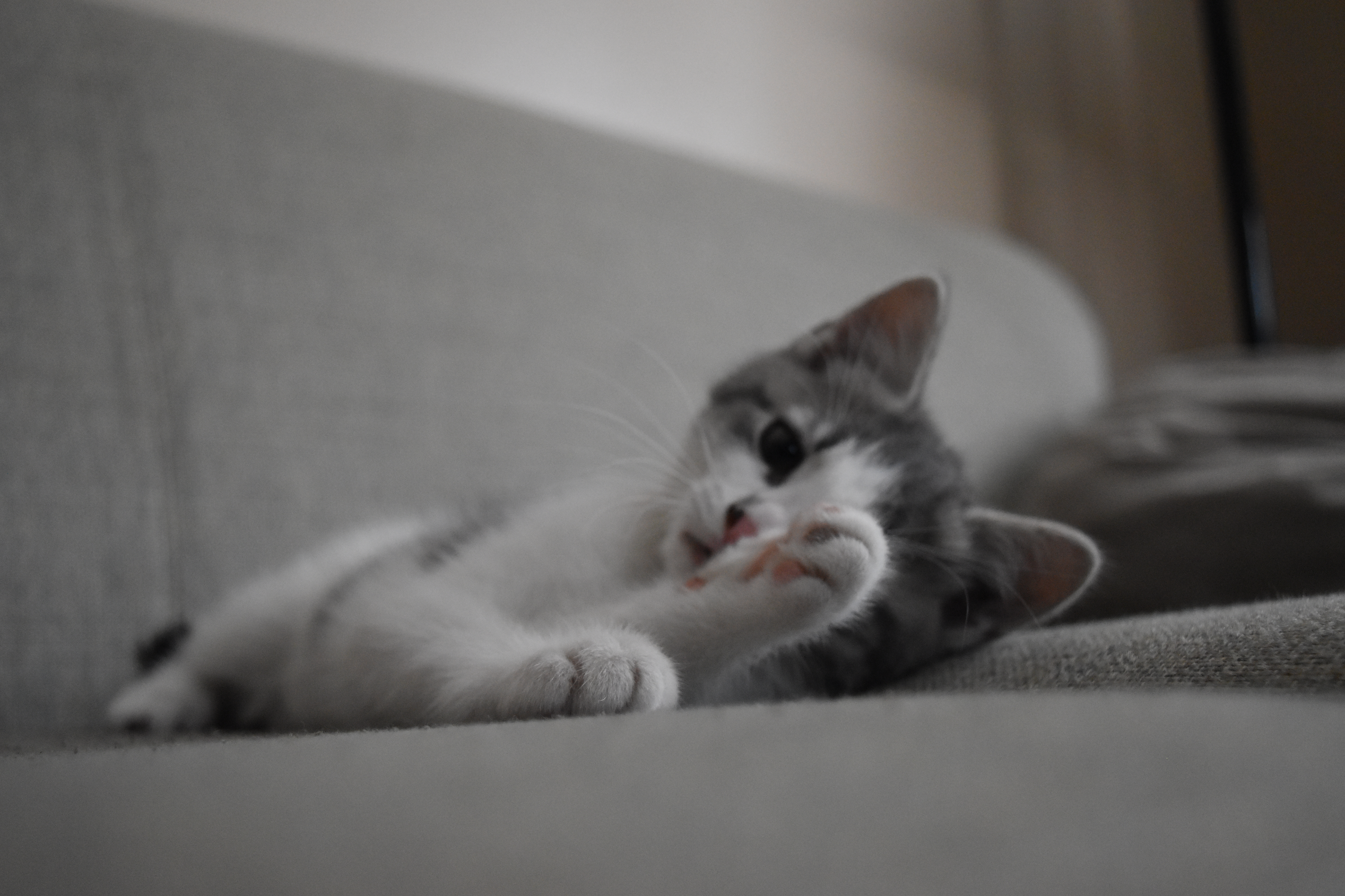 Downtown skyline at night