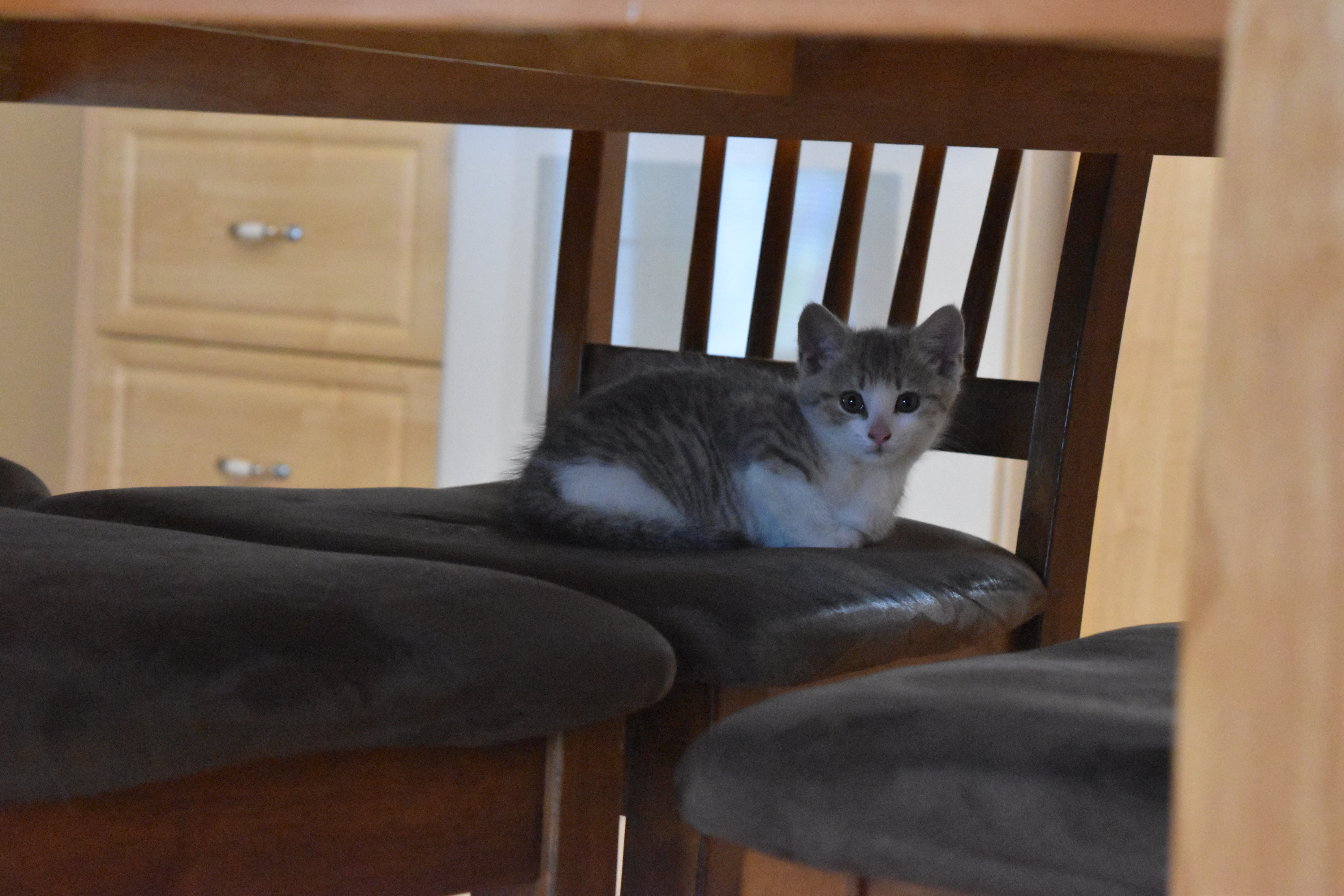 Algorithmic pattern variation A