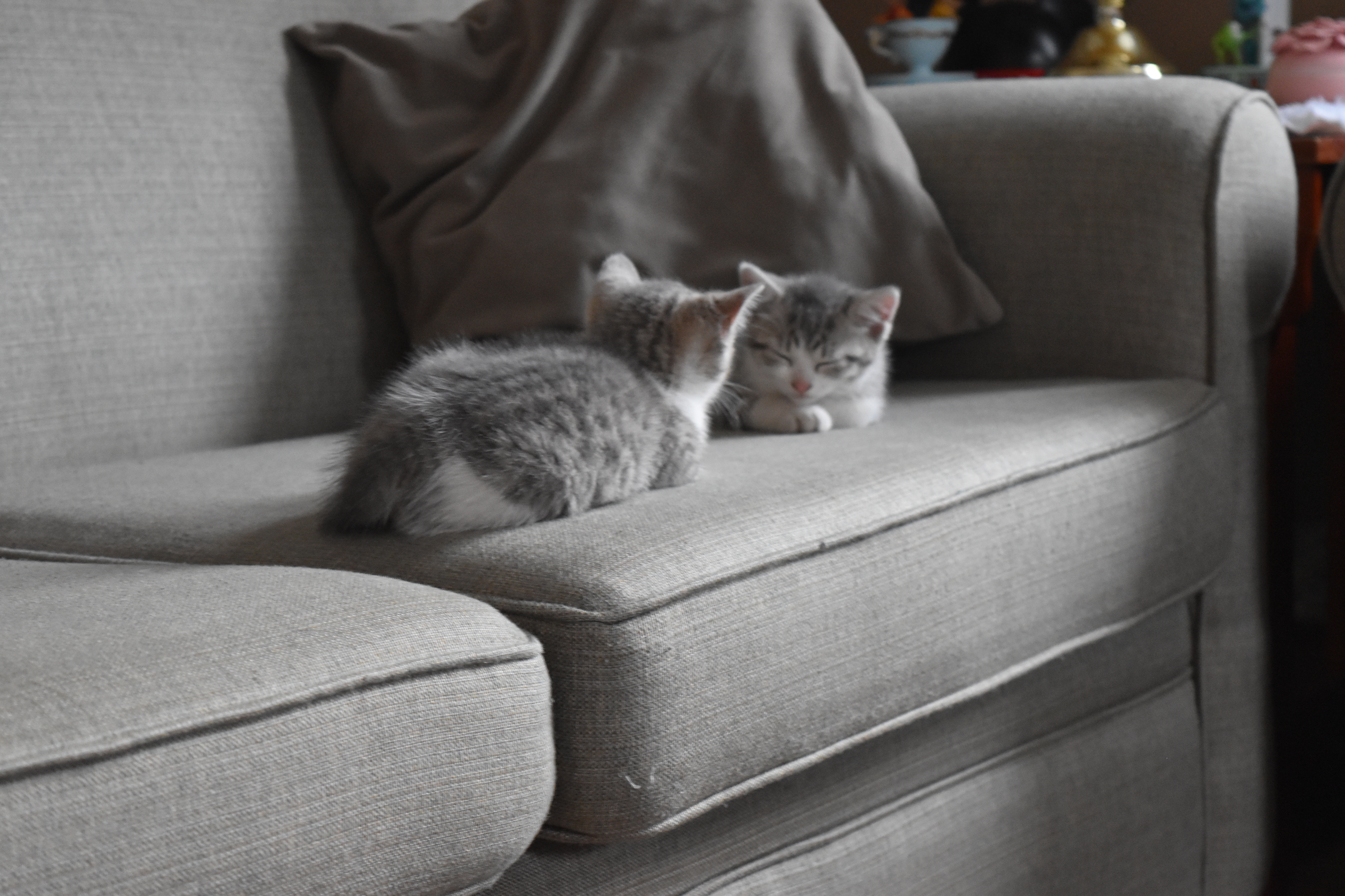 Community engagement graphic